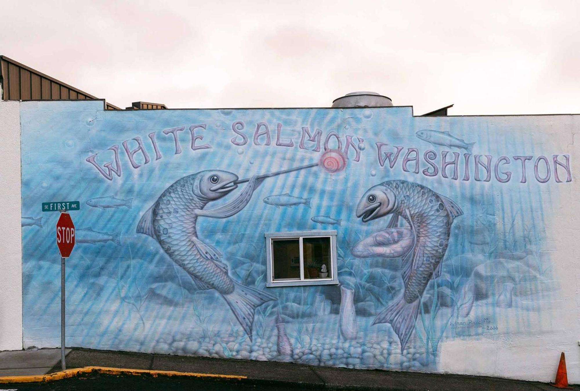Inn Of The White Salmon المظهر الخارجي الصورة